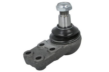 Elemente directie - Pivot axa (inferior Fata, diametru con: 42mm) potrivit RVI ARES, ILIADEIRISBUS ARES, ARWAY, AXER 01.97-