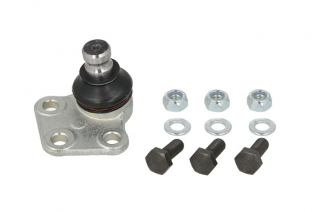 Pivot axa Stanga (fata) (diametru con 20mm) potrivit MERCEDES CITAN MIXTO (DOUBLE CABIN), CITAN (MPV), CITAN/MINIVAN (W415); RENAULT KANGOO BE BOP, KANGOO EXPRESS 1.5D-1.6LPG 02.08- [0]