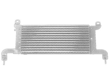 Radiator ulei - Radiator combustibil potrivit CITROEN JUMPY II; FIAT SCUDO; PEUGEOT EXPERT, EXPERT TEPEE 1.6D 01.07-