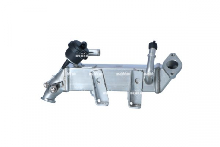 Radiator EGR - Radiator recirculare gaze esapament potrivit RENAULT ESPACE IV, LAGUNA, LAGUNA III, LATITUDE, MASTER III, TRAFIC II 2.0D/2.3D 01.06-