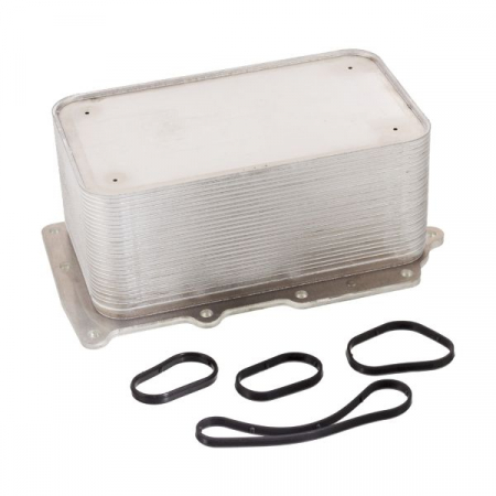 Radiator ulei - Radiator ulei (148x250x135/252mm) potrivit DAF CF 85, XF 105, XF 95 MX265-XF355M 01.01-