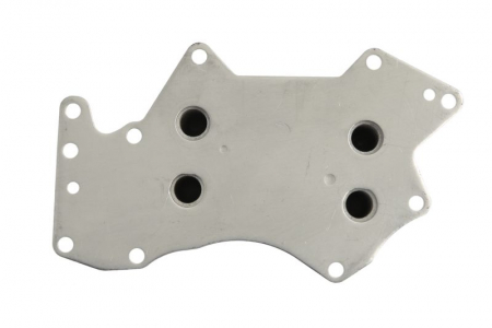 Radiator ulei potrivit AUDI A4 B7, A6 ALLROAD C6, A6 C6, A8 D3, Q7; VW PHAETON, TOUAREG 2.7D/3.0D 08.03-08.11 [1]