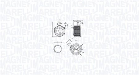 Radiator ulei - Radiator ulei potrivit DACIA LOGAN, LOGAN EXPRESS, LOGAN MCV; RENAULT CLIO II, CLIO II/HATCHBACK, CLIO III, GRAND SCENIC II, KANGOO, KANGOO EXPRESS, LOGAN I, MEGANE II, MEGANE II/KOMBI 1.5D 06.01-