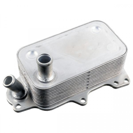 Radiator ulei - Radiator ulei potrivit FORD TRANSIT, TRANSIT CUSTOM V362, TRANSIT TOURNEO, TRANSIT V363 2.2D-3.2D 04.06-