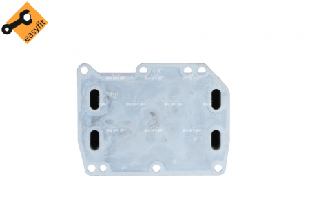 Radiator ulei termoflot potrivit NISSAN NV400, PRIMASTAR, X-TRAIL III; OPEL MOVANO B, VIVARO A; RENAULT ALASKAN, KOLEOS II, MASTER III, TRAFIC II 2.0D/2.3D dupa 2006 - (cu garnitura) [2]