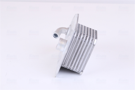 Radiator ulei termoflot potrivit MERCEDES C (W202), E (A124), E (C124), E T-MODEL (S124), E (W124), S (W140), SL (R129); SSANGYONG KORANDO, MUSSO 2.8/3.2/3.6 1991-2006 [2]