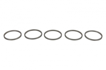 Saibe - Saiba DENSO pret pt 5 buc (diametru interior 21,5mm, diametru exterior 24,3mm, grosime 1,53mm)