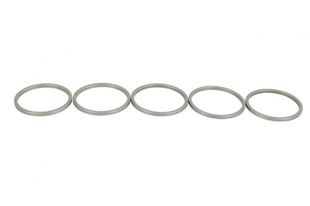 Saibe - Saiba pentru DENSO pret pt 5 buc (diametru interior 21,5mm, diametru exterior 24,3mm, grosime 1,59mm)