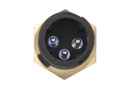 Senzor blocare diferential spate (2 pini; conector baioneta) potrivit DAF [1]