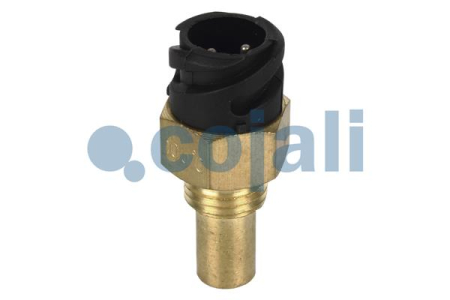 Senzor temperatura lichid racire potrivit MAN EL, EM, F2000, F90, F90 UNTERFLUR, HOCL, L2000, LION'S CITY, LION'S COMFORT, LION'S STAR BF8L513-WS295G dupa 1973 (numar pini: 2, dimensiune: 19mm, negru) [1]