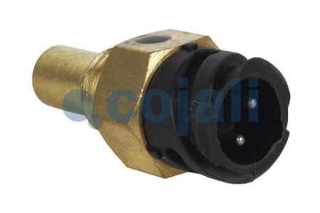Electrica - Senzor temperatura lichid racire potrivit MAN EL, EM, F2000, F90, F90 UNTERFLUR, HOCL, L2000, LION'S CITY, LION'S COMFORT, LION'S STAR BF8L513-WS295G dupa 1973 (numar pini: 2, dimensiune: 19mm, negru)