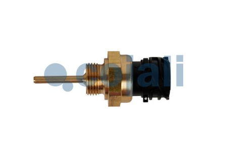 Senzor temperatura lichid racire potrivit DAF 85 CF, 95 XF, CF 75, CF 85, SB, XF 105, XF 95 6BT5.9-XF355M dupa 1974 (numar pini: 2, dimensiune: 27mm) [1]