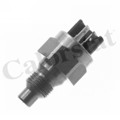 Elemente sistem racire - Senzor temperatura lichid racire  (numar pini: 2, negru) RENAULT 19 I, 19 I CHAMADE, 19 II, 19 II CHAMADE, 21, 25, CLIO I, ESPACE I, ESPACE II, MASTER I, SUPER 5, TRAFIC 1.2-2.8 intre 1980-1998