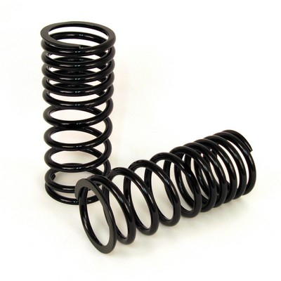 Set arcuri suspensie potrivit LAND ROVER RANGE ROVER II 2.5D/4.0/4.6 1994-2002 [3]