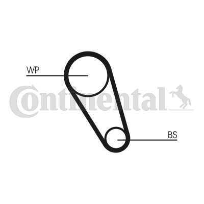 Distributie - Set distributie cu pompa apa AUDI A1, A3, A4, A5, Q2, Q3; SEAT ALHAMBRA, ATECA, IBIZA IV, IBIZA IV ST, LEON, LEON SC, LEON ST, TOLEDO IV; SKODA FABIA III, KODIAQ, OCTAVIA III 1.4-1.4H dupa 2011