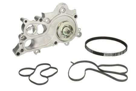Distributie - Set distributie potrivit AUDI A1, A3, A4 B9, A5, Q2, Q3; CUPRA FORMENTOR, LEON, LEON SPORTSTOURER; SEAT ALHAMBRA, ATECA, IBIZA IV 1.0-1.6 dupa 2011 (curea + intinzator + pompa apa)