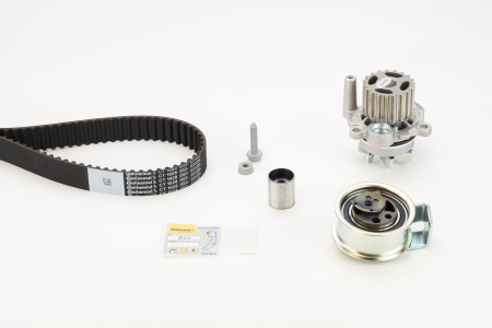 Set distributie potrivit AUDI A3, A4 B5, A4 B6, A6 C5; FORD GALAXY I, GALAXY MK I; SEAT ALHAMBRA, LEON, TOLEDO II; SKODA OCTAVIA I 1.9D 1995-2010 (curea + intinzator + pompa apa) [1]
