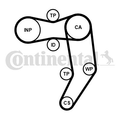 Set distributie potrivit AUDI A6 C4; VW CALIFORNIA T4 CAMPER, LT 28-35 II, LT 28-46 II, TRANSPORTER T4 2.4D/2.5D 1990-2006 (curea + intinzator + pompa apa) [2]