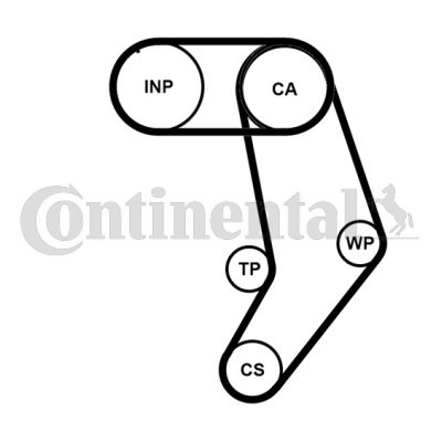 Set distributie potrivit AUDI A6 C4; VW LT 28-46 II, TRANSPORTER T4 2.4D/2.5D 1990-2003 (curea + intinzator + pompa apa) [2]