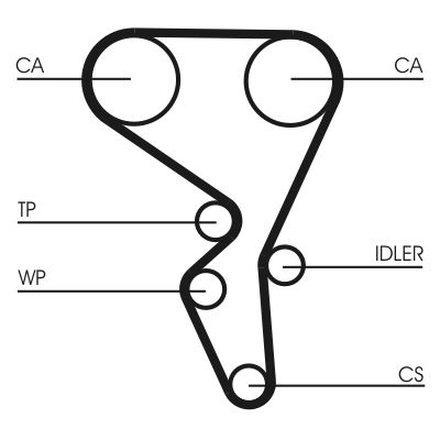 Set distributie potrivit CITROEN BERLINGO, BERLINGO/MINIVAN, C3 I, C3 PLURIEL, XSARA; PEUGEOT 206, 307, PARTNER, PARTNER ORIGIN 1.6/1.6ALK/1.6LPG dupa 2000 (curea + intinzator + pompa apa) [2]