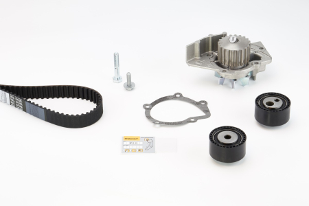 Set distributie potrivit CITROEN C3 II, C8, EVASION, JUMPY I; FIAT SCUDO, ULYSSE; FORD FIESTA V, FIESTA VI; LANCIA PHEDRA; PEUGEOT 806 1.4D/2.0D dupa 1999 (curea + intinzator + pompa apa) [1]