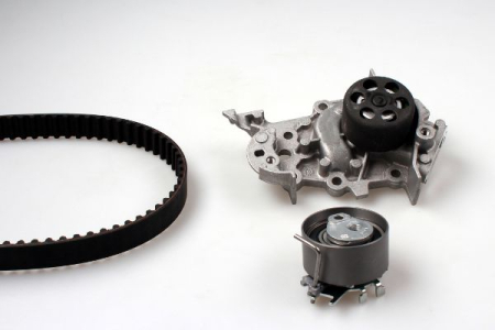 Set distributie potrivit DACIA LOGAN, LOGAN II, LOGAN MCV II, SANDERO, SANDERO II; RENAULT CLIO II, CLIO III, CLIO III/HATCHBACK 1.0-1.2LPG dupa 2001 (curea + intinzator + pompa apa) [1]