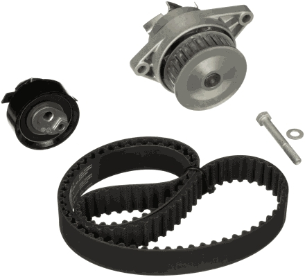 Distributie - Set distributie potrivit FORD MONDEO III; HYUNDAI I30; SEAT AROSA, CORDOBA, IBIZA II, IBIZA III; SSANGYONG MUSSO; VW FOX, LUPO I 1.0-2.9D 1993-2014 (curea + intinzator + pompa apa)