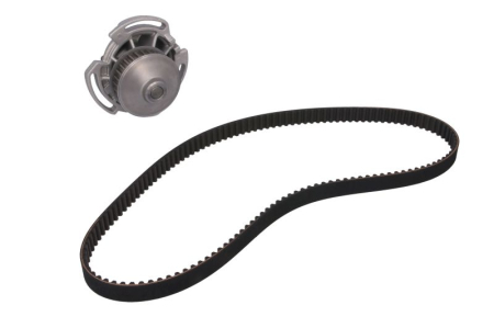 Distributie - Set distributie (curea + pompa apa) potrivit SEAT CORDOBA, IBIZA II; VW GOLF III, VENTO 1.6 09.92-10.02