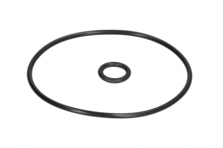 Set garnitura pompa vacuum potrivit JEEP GLADIATOR; MAZDA 6, CX-7 2.2D/3.6 dupa 2009 [1]