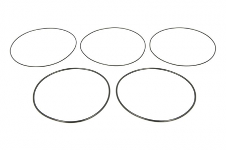 Garnitura motor - Set garnituri bucsa cilindru potrivit SAME LASER, RUBIN, SILVER, TITAN 100.6PA-105.6PA