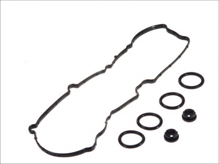 Elemente admisie aer - Set garnituri galerie admisie CITROEN C1, C2, C2 ENTERPRISE, C3 I, C3 II, C3 PLURIEL, NEMO, XSARA; FORD FIESTA V, FIESTA VI, FUSION; MAZDA 2; PEUGEOT 1007, 107, 206, 206+, 207, 307, BIPPER 1.4D dupa 2