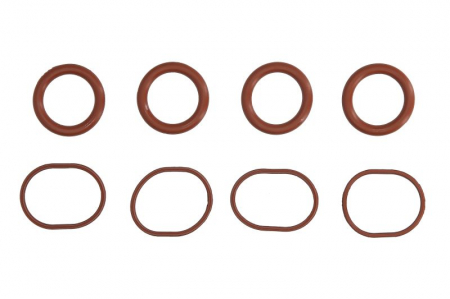 Elemente admisie aer - Set garnituri galerie admisie CITROEN C5 II, C5 III, C6, C8, C-CROSSER, C-CROSSER ENTERPRISE; FIAT ULYSSE; FORD GALAXY, MONDEO IV, S-MAX; JAGUAR XF, XF SPORTBRAKE; LANCIA PHEDRA 2.2D dupa 2006