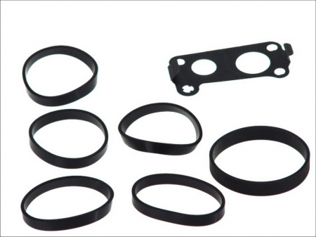 Elemente admisie aer - Set garnituri galerie admisie MERCEDES C T-MODEL (S203), C (W203), CLK (C209), E T-MODEL (S210), E T-MODEL (S211), E (VF210), E (VF211), E (W210), E (W211), G (W461), G (W463), M (W163) 2.7D dupa 1999