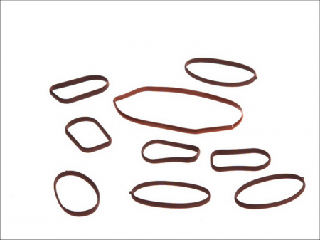 Elemente admisie aer - Set garnituri galerie admisie MERCEDES SPRINTER 2-T (901, 902), SPRINTER 3-T (903), SPRINTER 4-T (904), V (638/2), VITO (638) 2.1D/2.2D intre 1999-2006