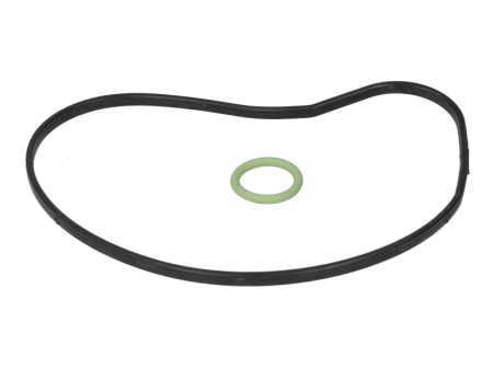 Garnituri - Set garnituri pompa apa potrivit BMW 5 (E60), 5 (E61), 6 (E63), 6 (E64), 7 (E65, E66, E67), 7 (F01, F02, F03, F04), X5 (E53), X5 (E70); ROLLS-ROYCE DAWN, GHOST I 3.6-6.75 07.01-