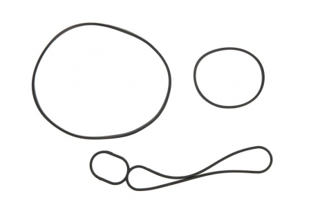 Piese Auto - Set garnituri radiator ulei potrivit VW TOUAREG 5.0D 10.02-05.10