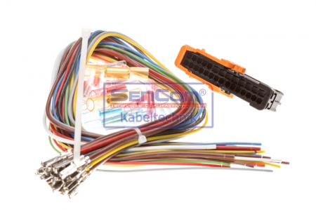 Set reparatie cabluri pentru senzorul de pozitie a pedalei de gaz potrivit SEAT ALHAMBRA, MII, TOLEDO IV; SKODA CITIGO, FABIA I, FABIA I PRAKTIK, FABIA II 1.0-Electric dupa 1999 - (420mm, Dreapta/Stan [3]