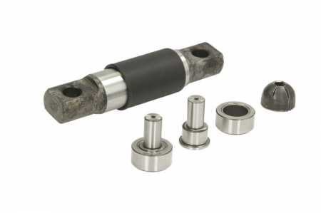 Piese Auto - Set reparatie furca ambreiaj (pivot; role; rulment) ZF AS TRONIC 12 AS 2001 BO; 12 AS 2301; 12 AS 2301 IT; 12 AS 2301 IT ASF; 12 AS 2331 TD potrivit DAF CF, XF 105, XF 106, XF 95 01.02-