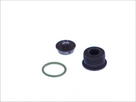 Set reparatie pompa injectie (Potriveste: 0 445 010 098; 0 445 020 008) [1]