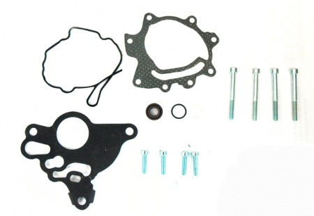 Alimentare combustibil - Set reparatie pompa vacuum AUDI A3, A4, A6; SEAT ALTEA, ALTEA XL, LEON, TOLEDO III; SKODA OCTAVIA II, SUPERB II; VW GOLF PLUS, GOLF V, JETTA III, PASSAT, TOURAN 2.0/2.0D/3.0D dupa 2003