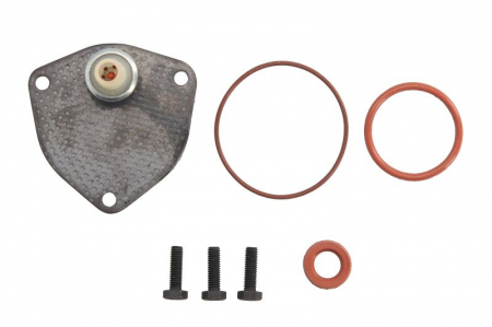 Franare - Set reparatie pompa vacuum potrivit AUDI 80 B3, 80 B4, A4 B5, A6 C4, A6 C5, CABRIOLET B3; FORD GALAXY I; SEAT ALHAMBRA, AROSA, CORDOBA, CORDOBA VARIO, IBIZA II 1.7D/1.9D/1.9DH 1989-2010