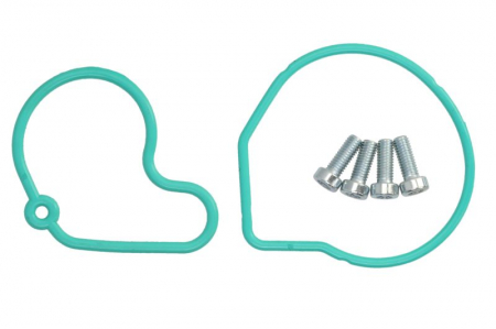 Franare - Set reparatie pompa vacuum potrivit AUDI A3; SEAT CORDOBA, CORDOBA VARIO, IBIZA II, IBIZA III, INCA, LEON, TOLEDO II; SKODA FABIA I, FABIA I PRAKTIK, OCTAVIA I; VW BORA 1.9D 1995-2012