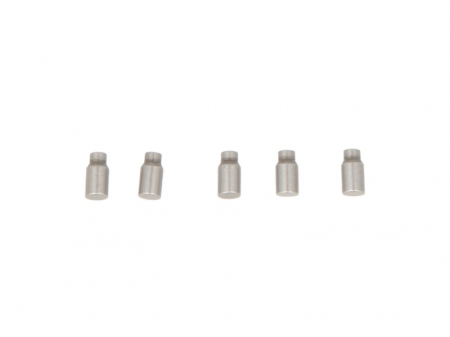 Sistem Common-Rail - Set reparatie sistem common-rail DELPHI pret pt 5 buc (lungime 3,9mm)