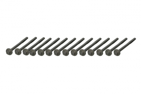 Elemente motor - Set surub chiulasa potrivit BMW 3 (F31), 5 (F10), 5 (F11), 5 (G30, F90), 5 (G31), 7 (F01, F02, F03, F04), 7 (G11, G12), X5 (E70), X5 (F15, F85), X5 (G05 3.0D 08.11-
