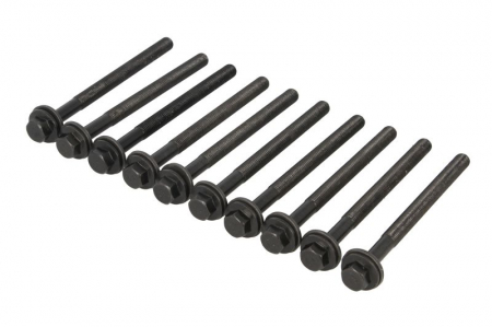 Elemente motor - Set surub chiulasa potrivit FORD FOCUS IV, GALAXY III, GALAXY MK III, KUGA III, MONDEO V, RANGER, S-MAX, TOURNEO CUSTOM V362, TRANSIT CUSTOM V362, TRANSIT V363; FORD USA EDGE 2.0D/2.0DH 12.15-