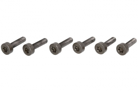 Ambreiaj - Set suruburi volanta BMW Seria 1 (E81), 1 (E87), 3 (E46), 3 (E90) 1.6/1.8/2.0 intre 2000-2011