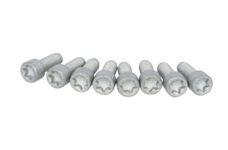 Ambreiaj - Set suruburi volanta (M10x1mm; Lungime26,1mm)