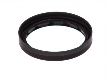 Simering diferential (60x73x11) MERCEDES G (W461), G (W463), SPRINTER 2-T (901, 902), SPRINTER 3-T (903), SPRINTER 4-T (904), SPRINTER 5-T (905), SPRINTER (905); MITSUBISHI LANCER VI 2.0-3.2 dupa 1995 [1]