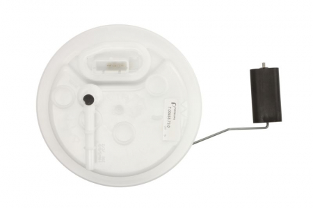 Sistem pompa combustibil CITROEN C5 III, C6; PEUGEOT 407 1.6-3.0 dupa 2004 [1]