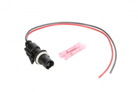 Elemente optice - Soclu bec , mufa spate stanga/dreapta CITROEN JUMPER; FIAT DUCATO, PUNTO; PEUGEOT BOXER dupa 2006
